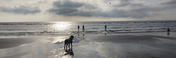 krjacks Profile Banner