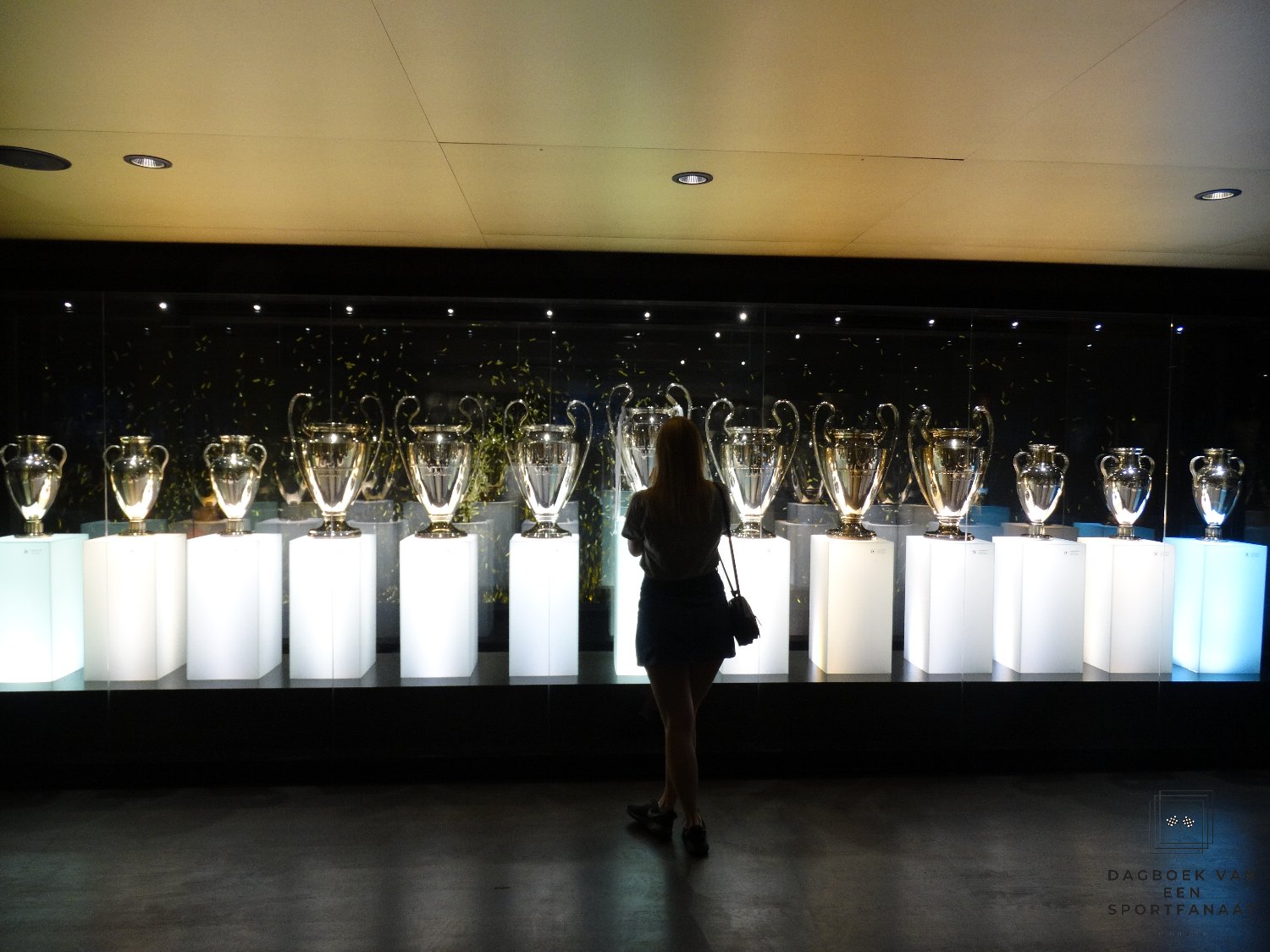 deminiessen's profile banner image
