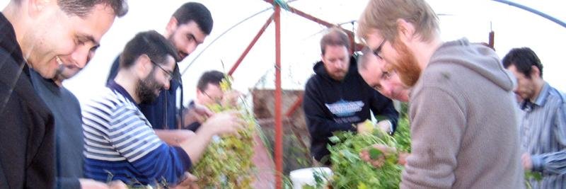 LimerickBrewers's profile banner image