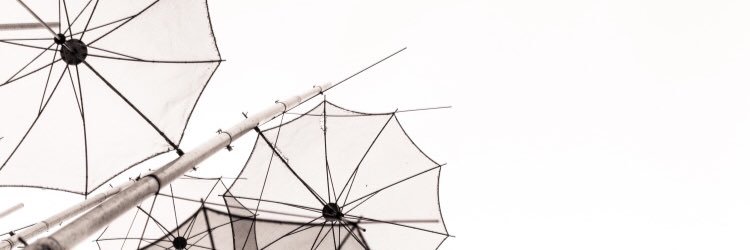 BaumgartnerRhea's profile banner image