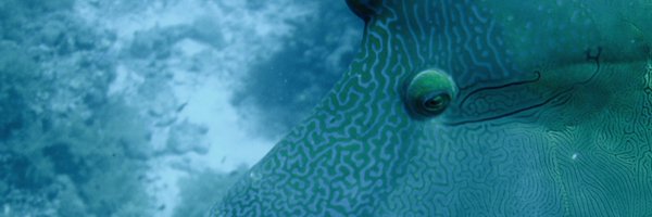 TimTacle68 Profile Banner