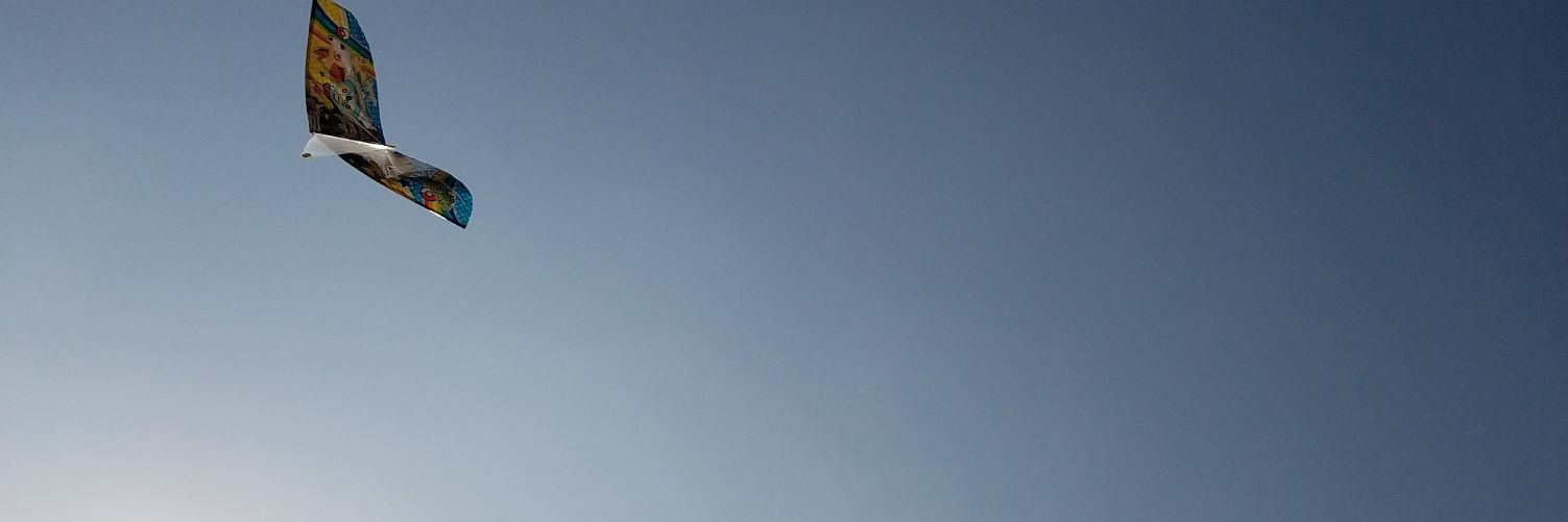 pafuchichi's profile banner image