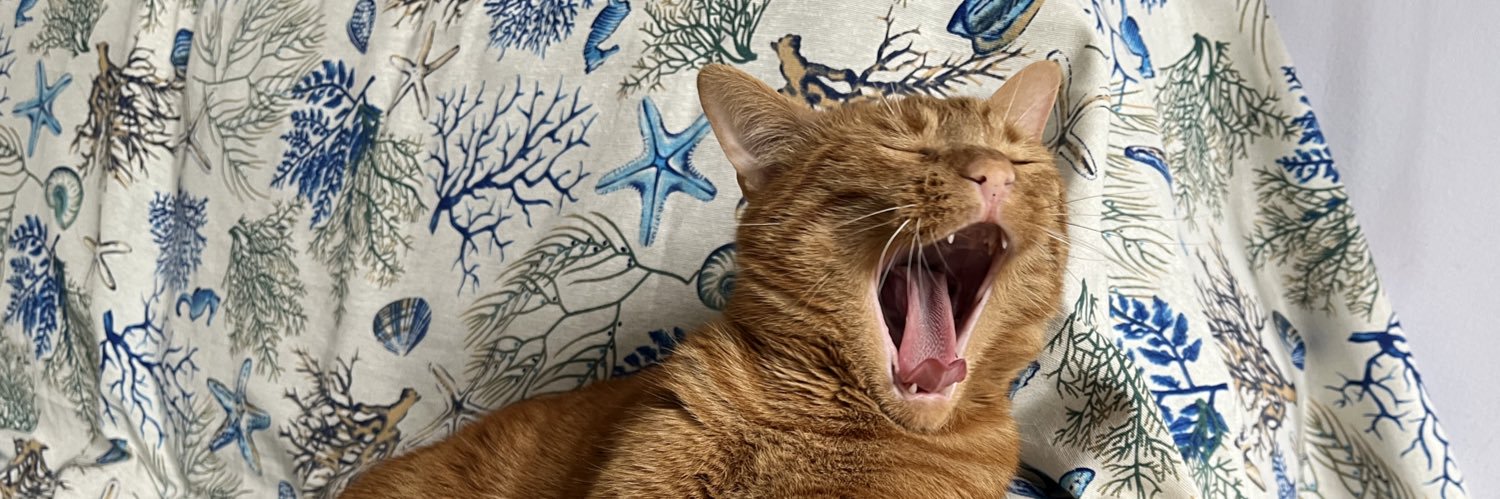 cristina criswald banner