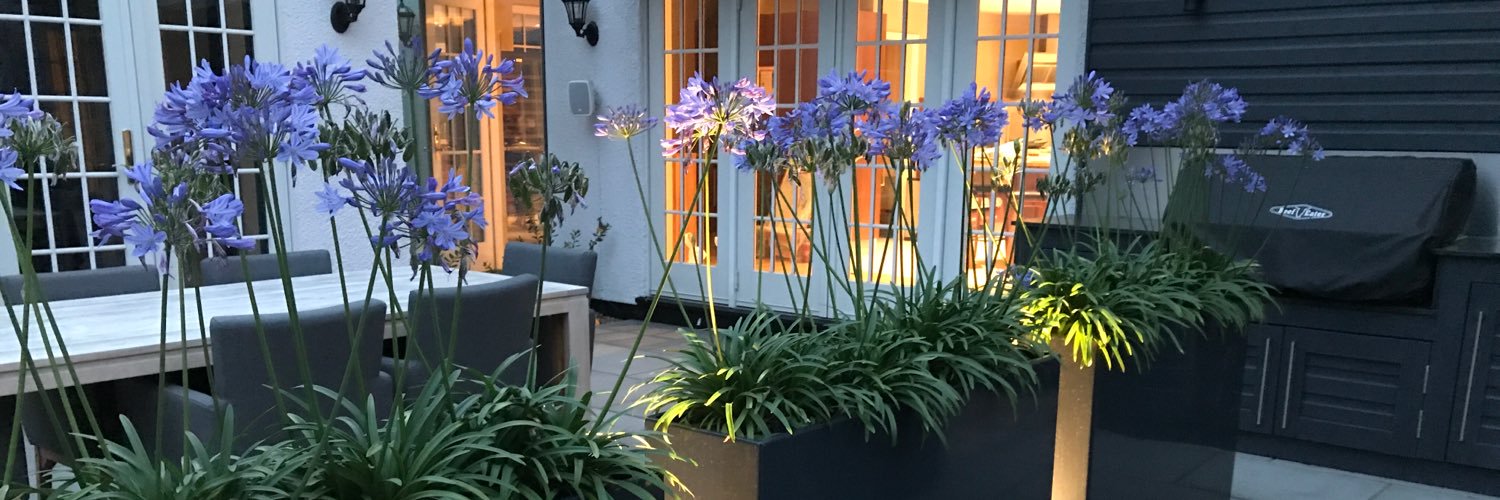 Bestall & Co Landscape Design banner