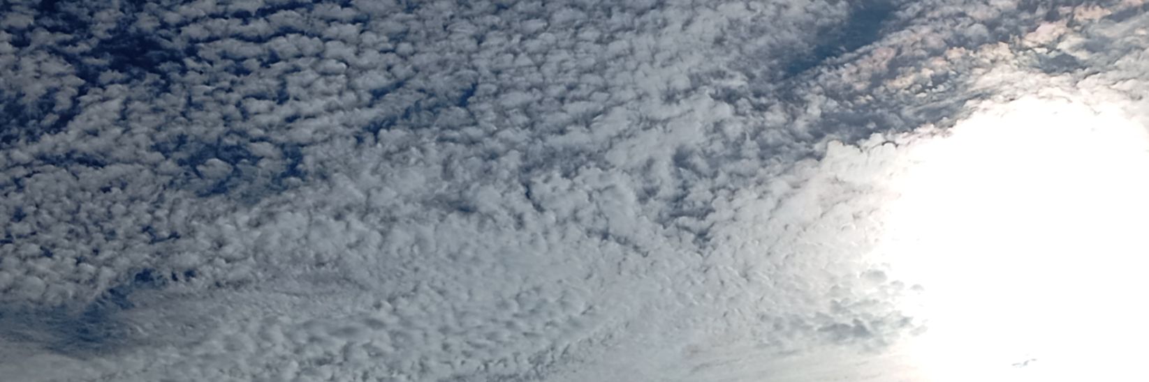 FlordeLiscanda's profile banner image
