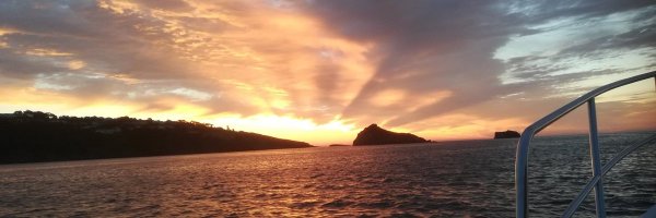 TorBayHarbour Profile Banner