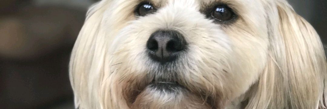 Amiiee0's profile banner image