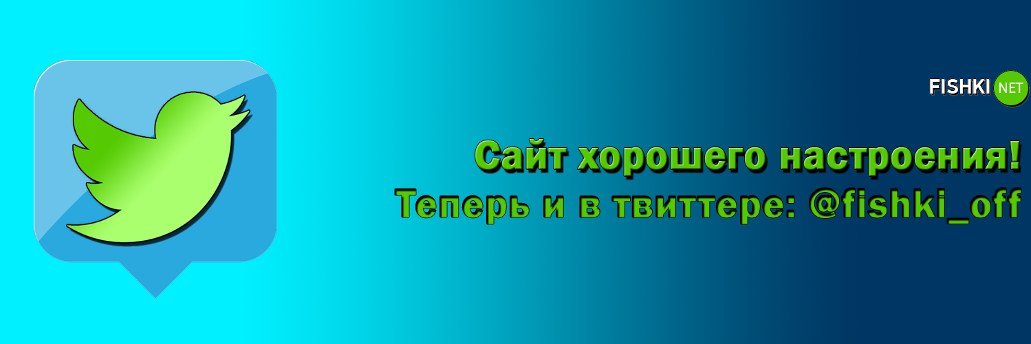 fishki_off's profile banner image
