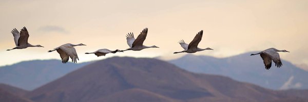 2eSystems Profile Banner