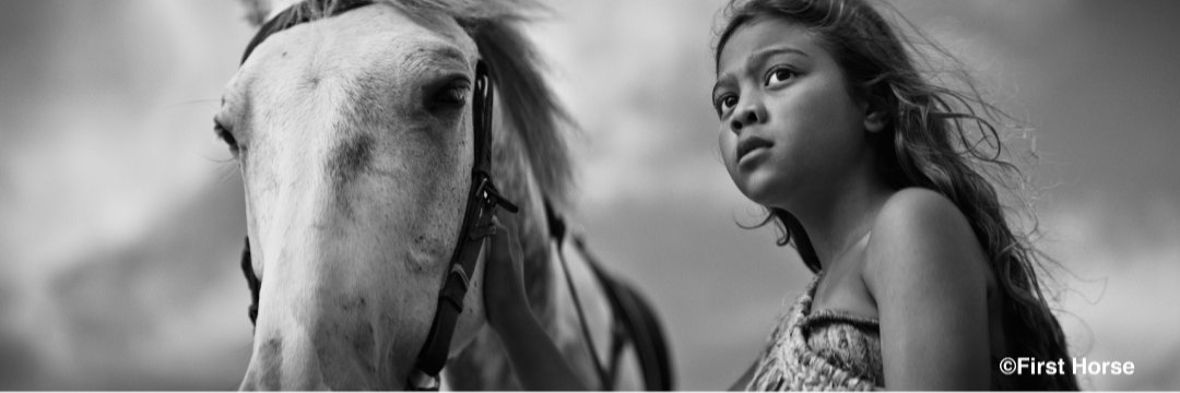 Native Spirit Festival banner