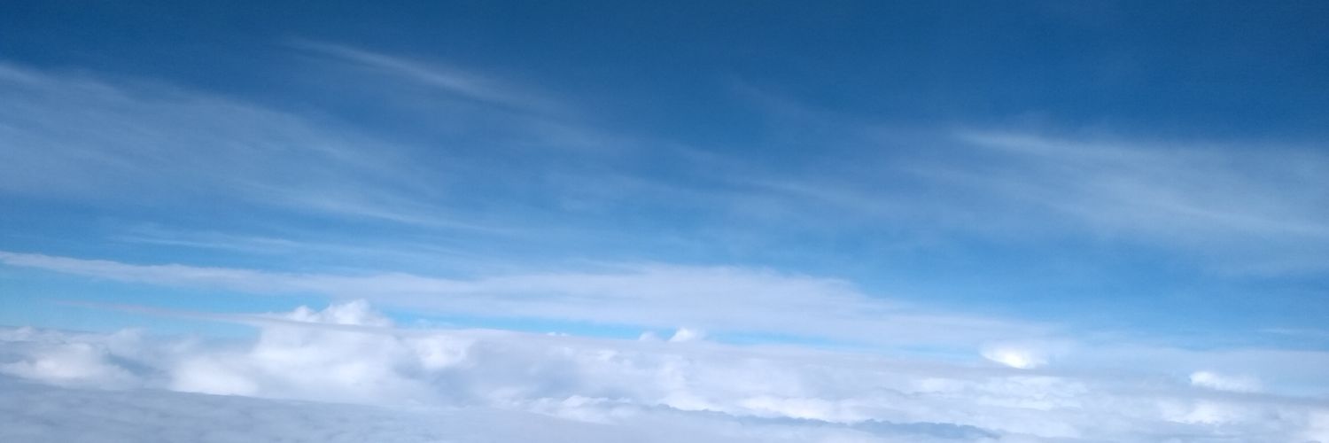 LCarucio's profile banner image