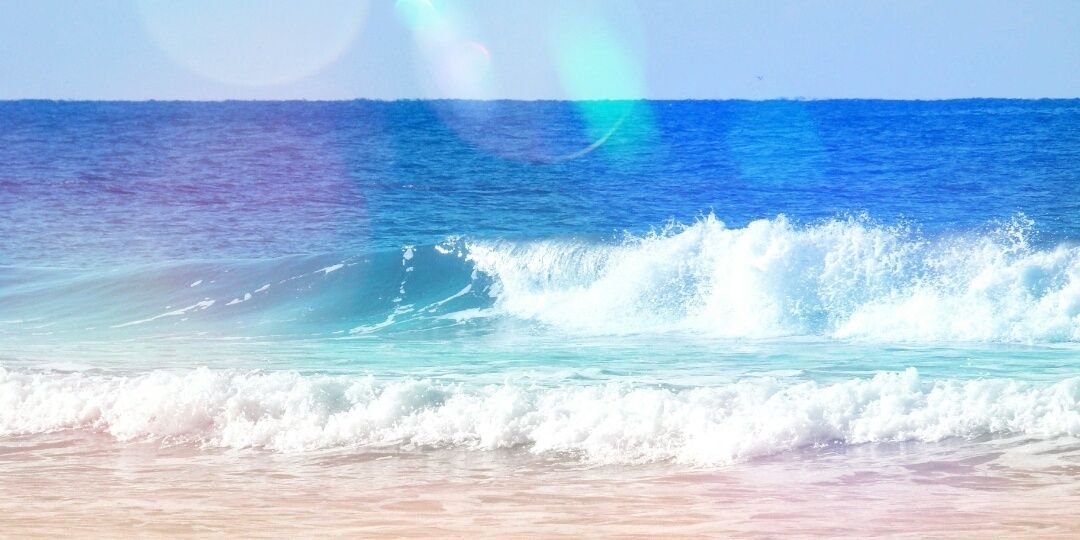 s___sho___'s profile banner image