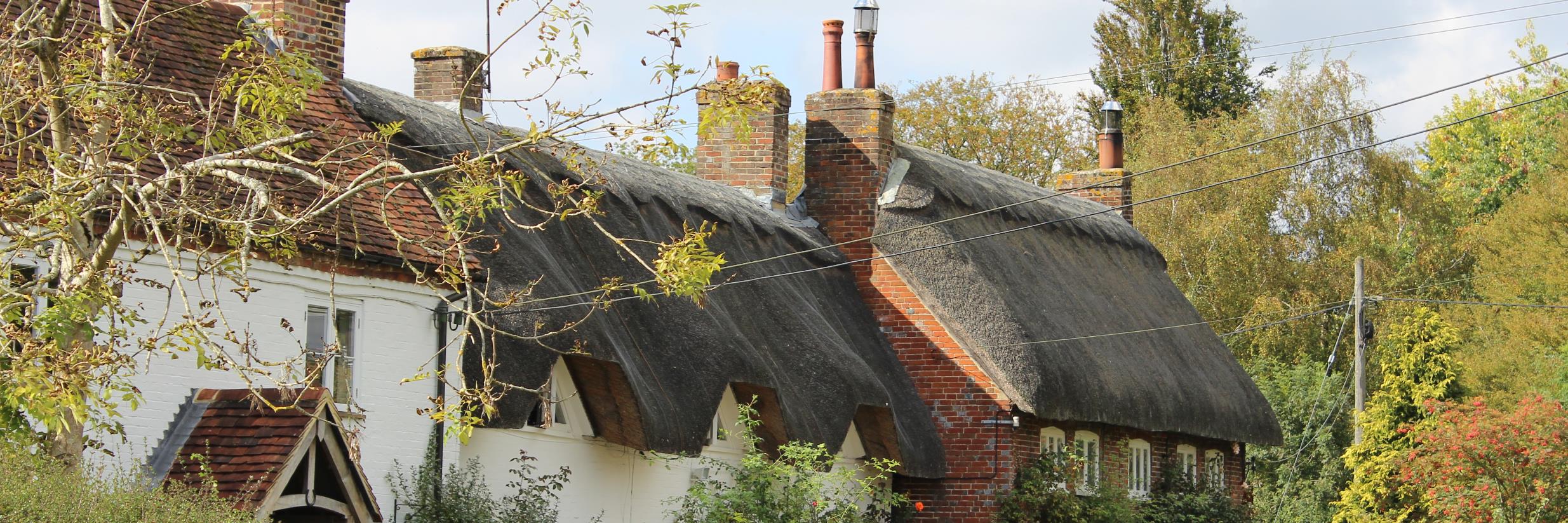Thatch Advice Centre's banner