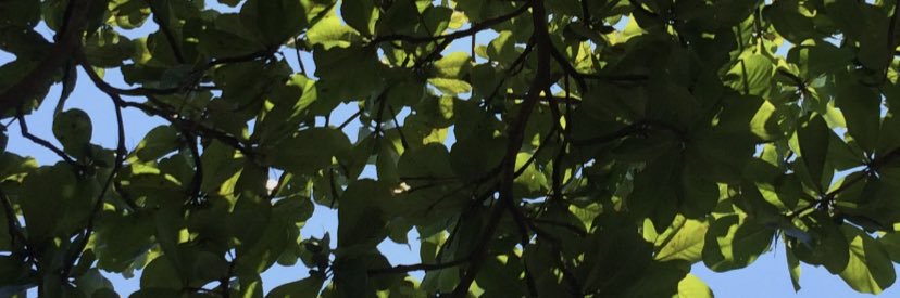 gpuentes7's profile banner image