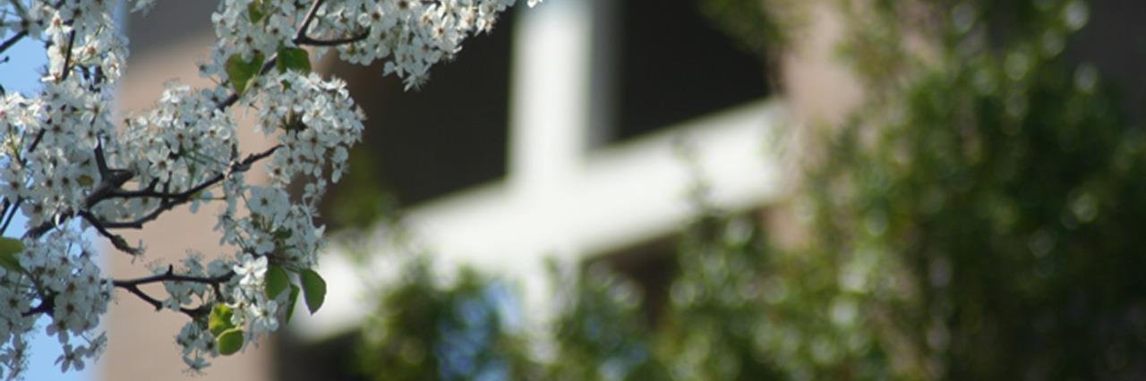 SaxeGotha_PC's profile banner image