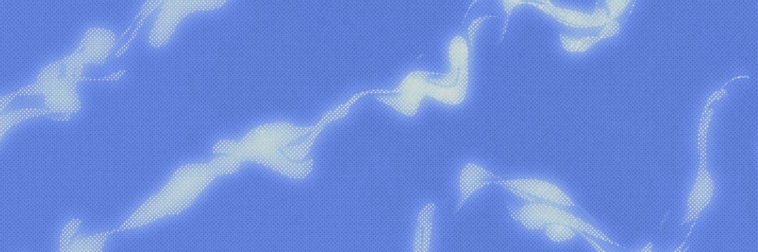 Digital Fairies banner