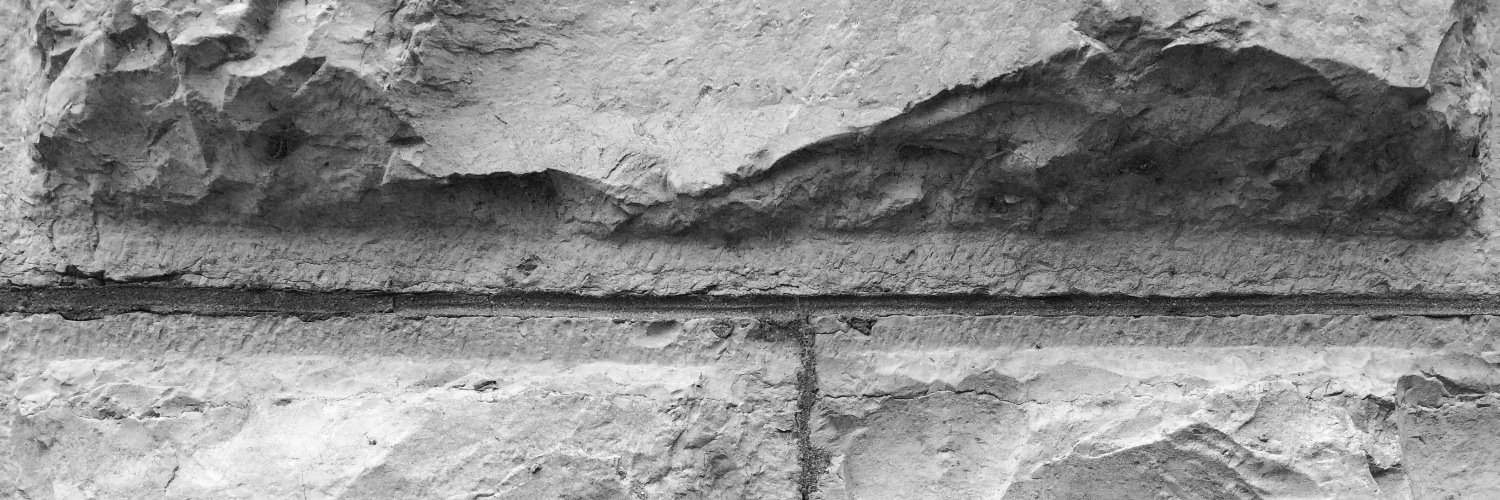 GreyCardPoli's profile banner image