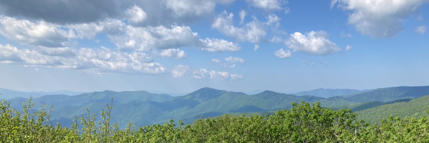 Molly Woloszyn banner