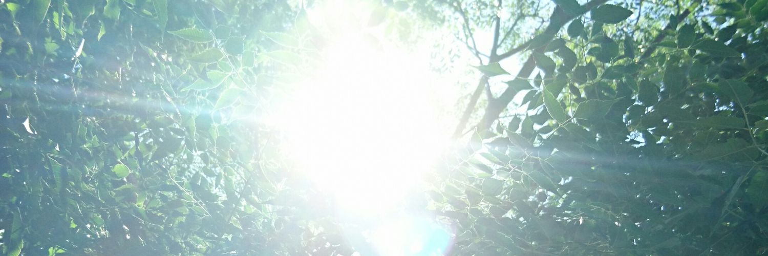 masatuti's profile banner image