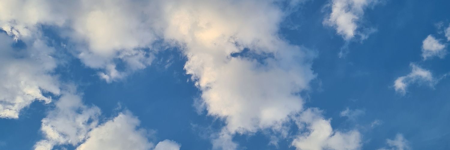 beldefilippi's profile banner image