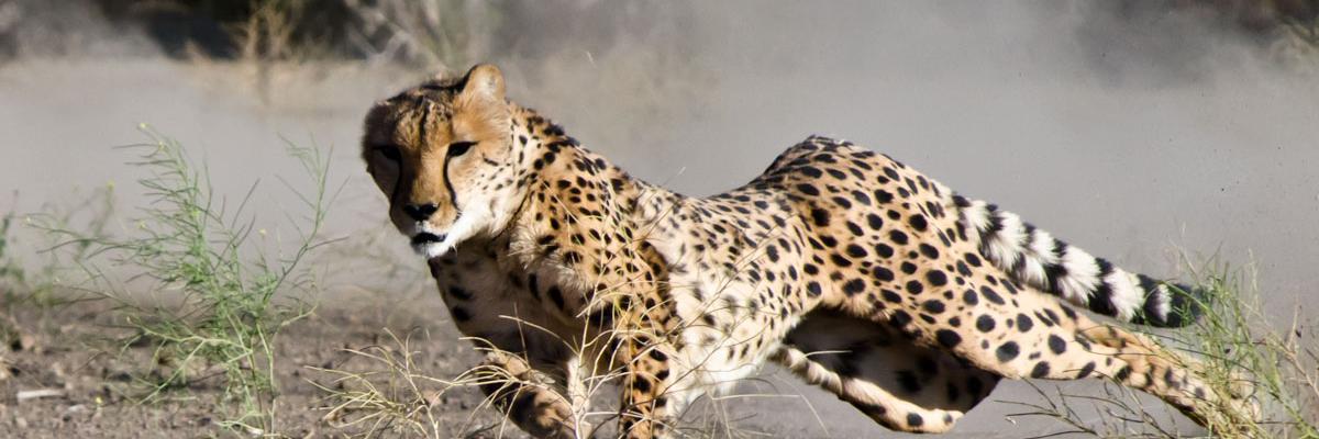 toujourslorrain's profile banner image