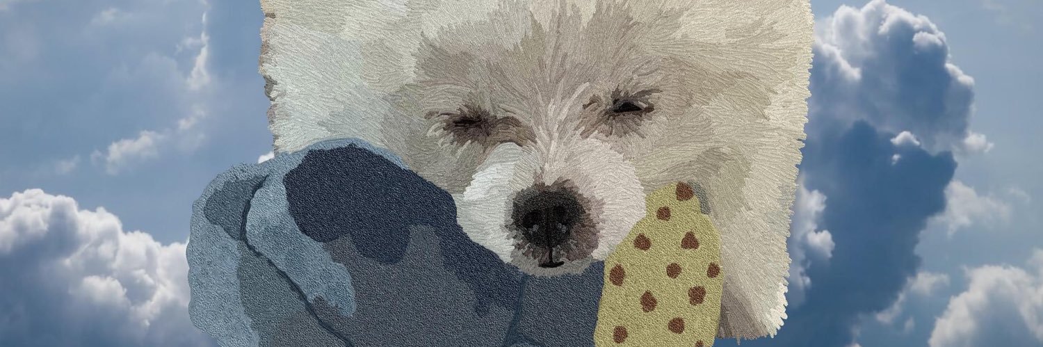 frenizadc's profile banner image