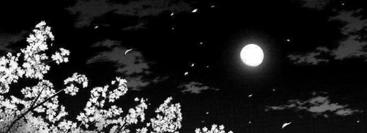 polymnialunnaa8's profile banner image