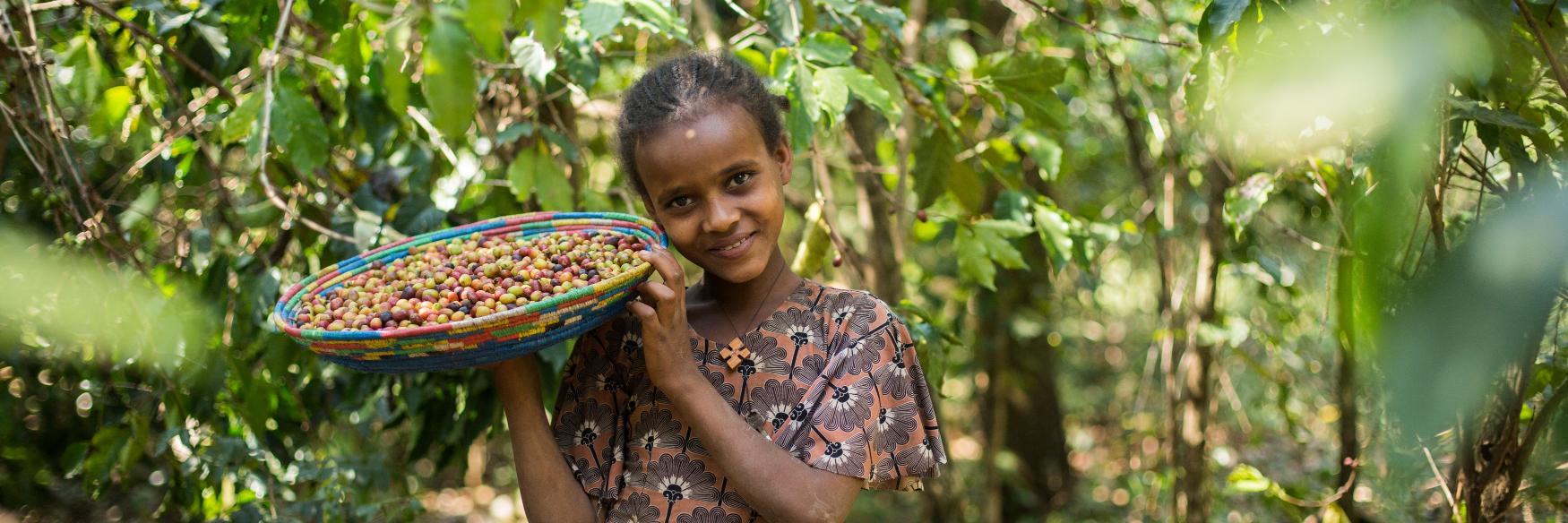 Project Waterfall banner