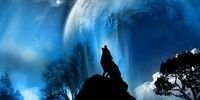 jparente2's profile banner image
