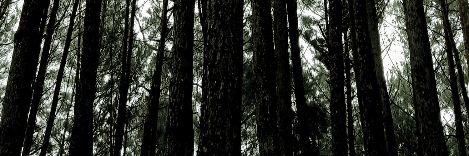 monkyyygrl's profile banner image