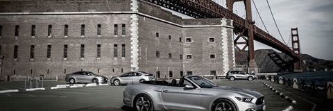 Ash McAuliffe banner