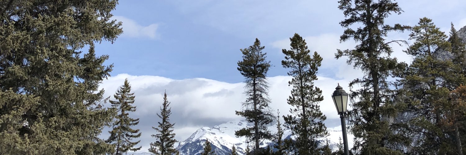 aliveinCalgary's profile banner image