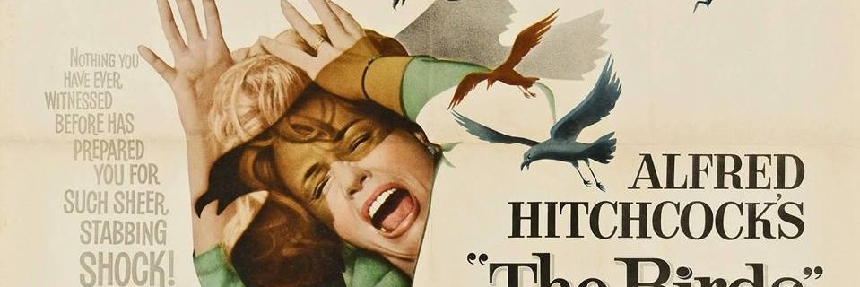 caritorck's profile banner image