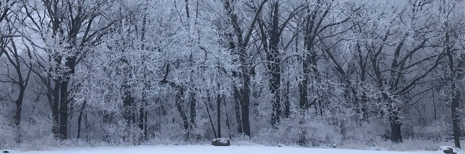 JulieAnnHenry's profile banner image