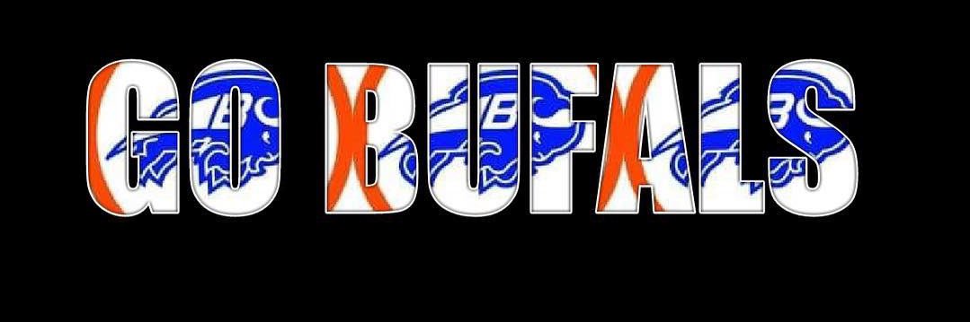 vito6bufals's profile banner image