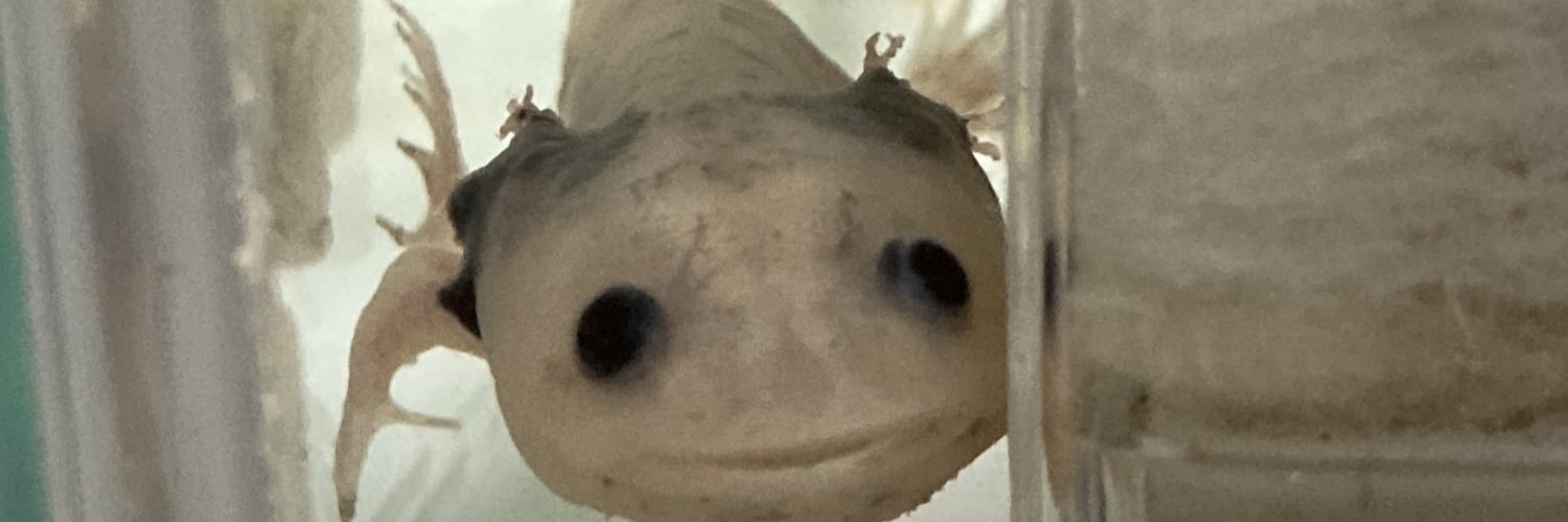 ardry_'s profile banner image