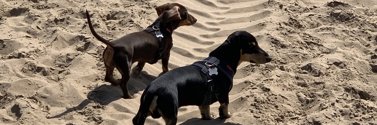 Paul Lakeland banner