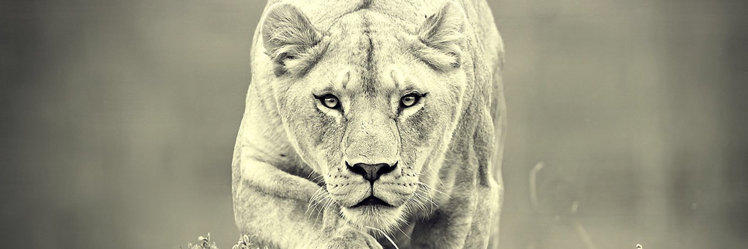 MaxBerger44's profile banner image