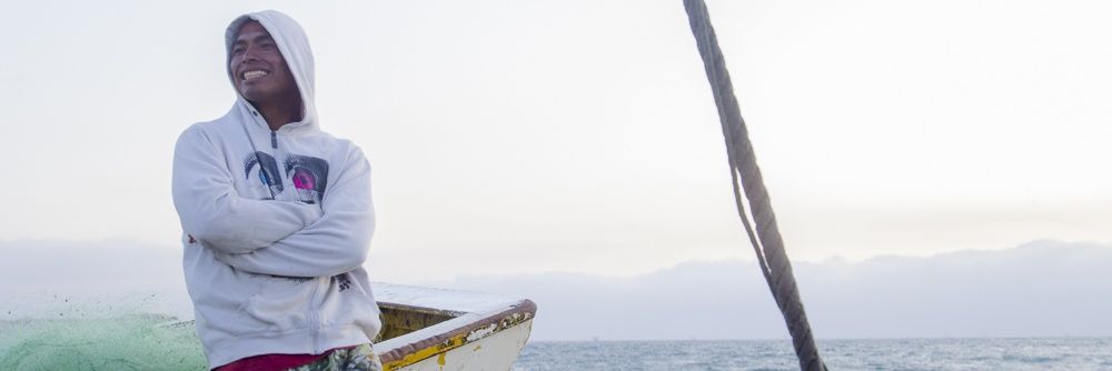 surfingpolo's profile banner image