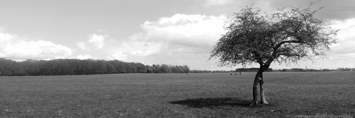 Connolly Photos banner