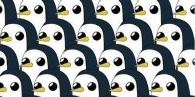 WebSofiaV's profile banner image