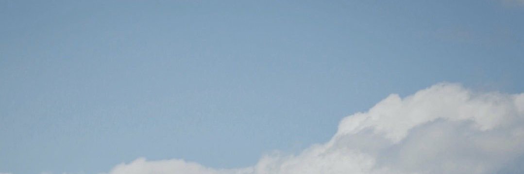 dhel banner