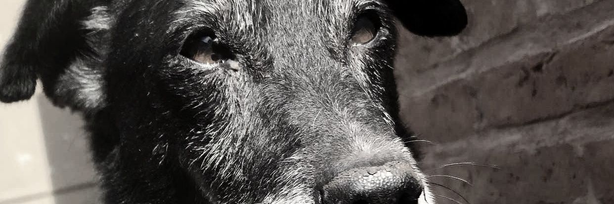 brianrojasx's profile banner image
