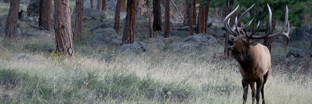 Sportmans_Life's profile banner image