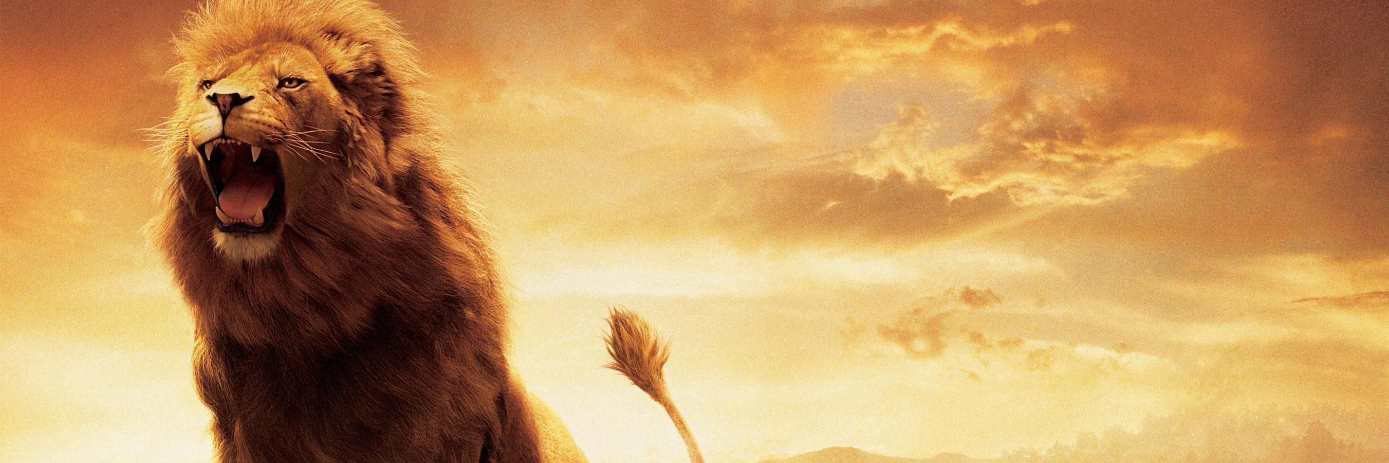 DestinyEde's profile banner image