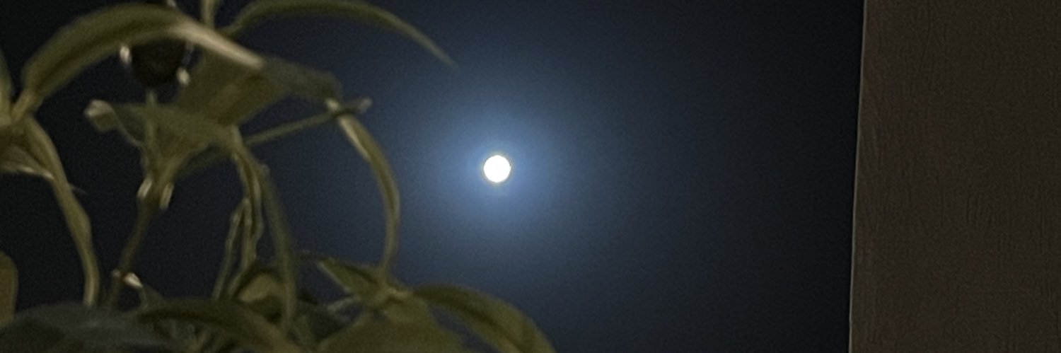 nosh_211's profile banner image