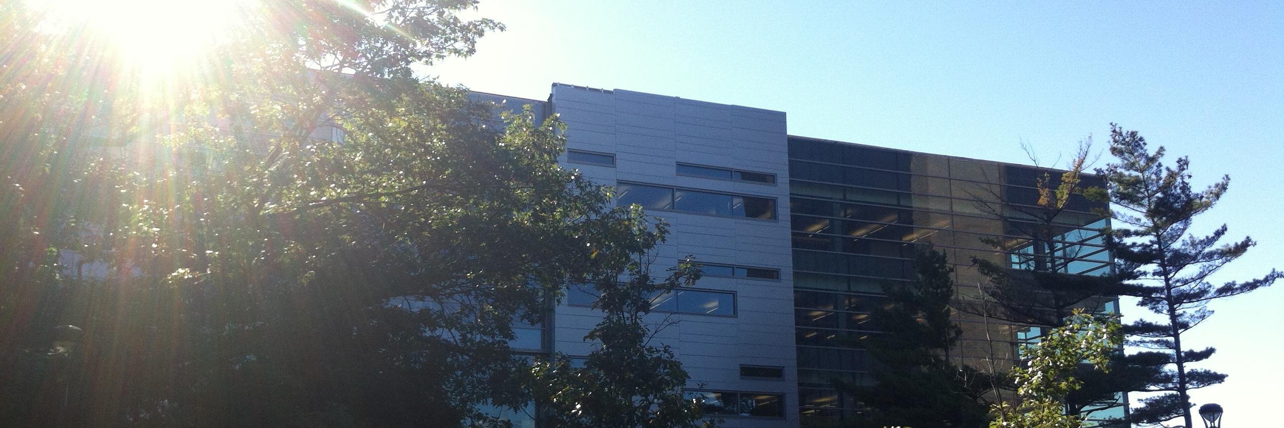 MacOdrum Library banner