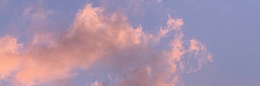 cocoanimaux's profile banner image