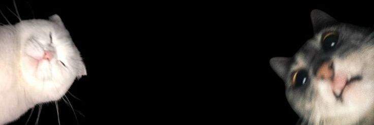 obnoxious_mess's profile banner image