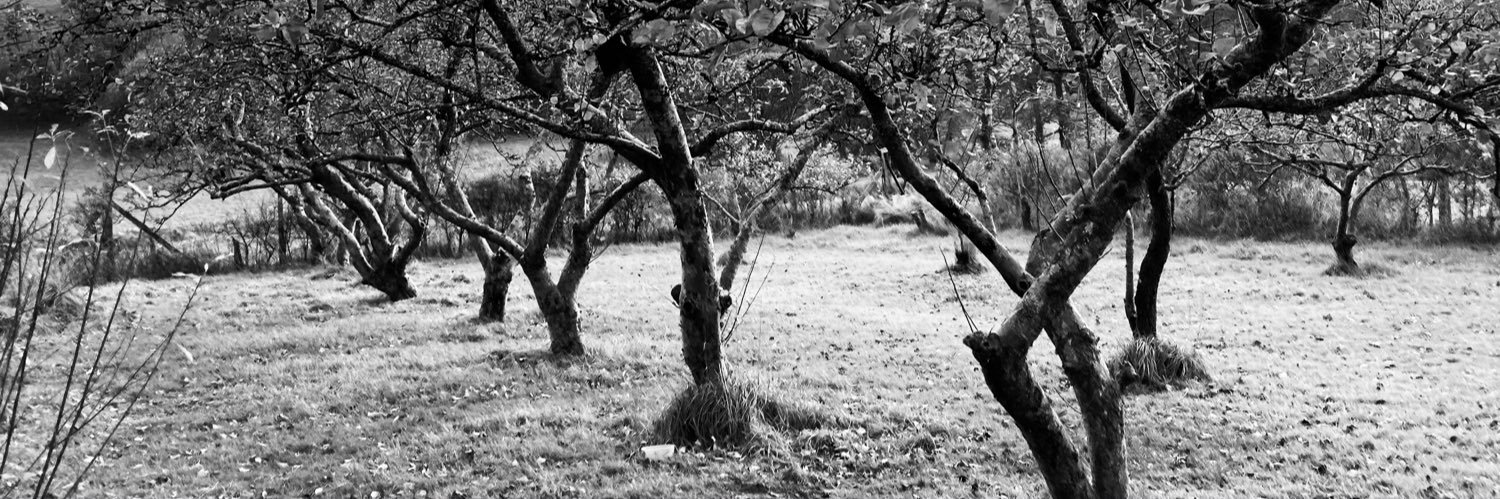 Holly Mount Orchard banner